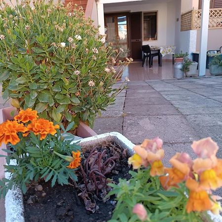 Da Francesca Villa Palmadula Buitenkant foto