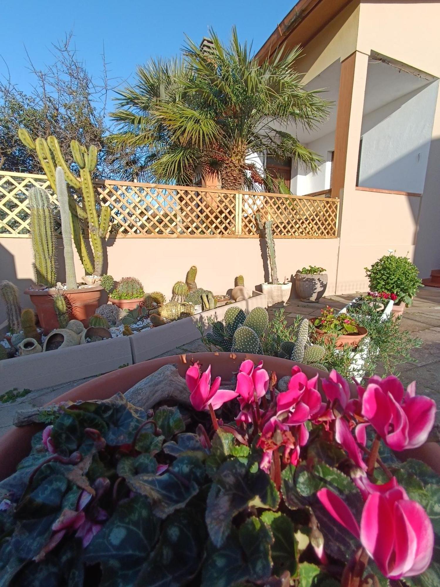 Da Francesca Villa Palmadula Buitenkant foto