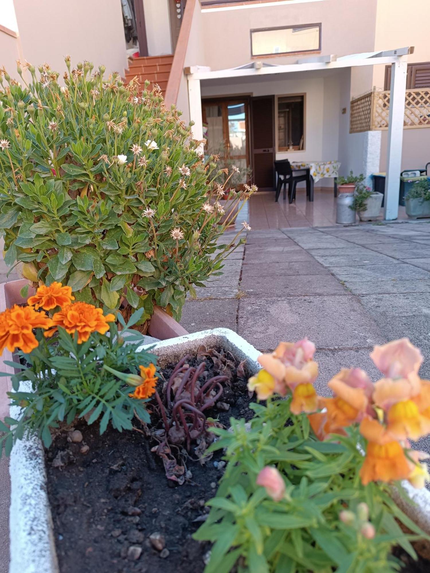 Da Francesca Villa Palmadula Buitenkant foto